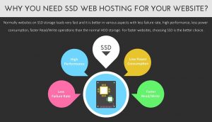 SSD Hosting vs HDD Hosting. Which is the Best?